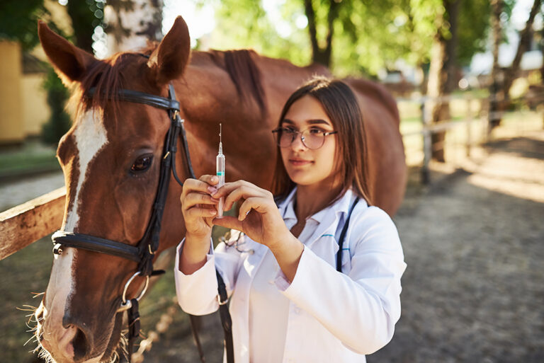 Vet Clinic Seeks Enforcement Of Non-Compete