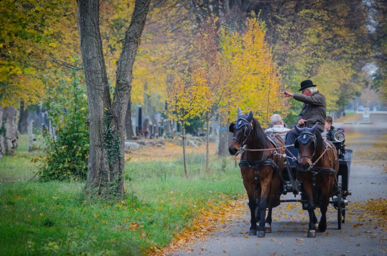 Supreme Court of Michigan Agrees To Interpret Equine Activity Liability Act